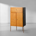 Thaddeus Metal Frame Rattan Side Cabinet