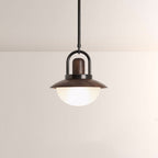 Arcane Wood Metal Dome Pendant