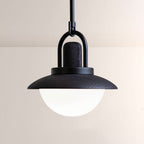 Arcane Wood Metal Dome Pendant
