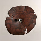 Arris Live-Edge Wood Wall Sconce