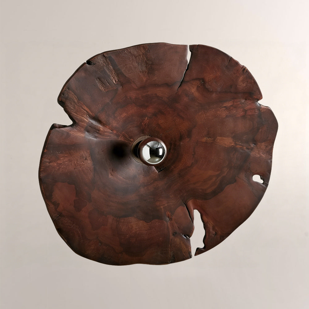 Arris Live-Edge Wood Wall Sconce