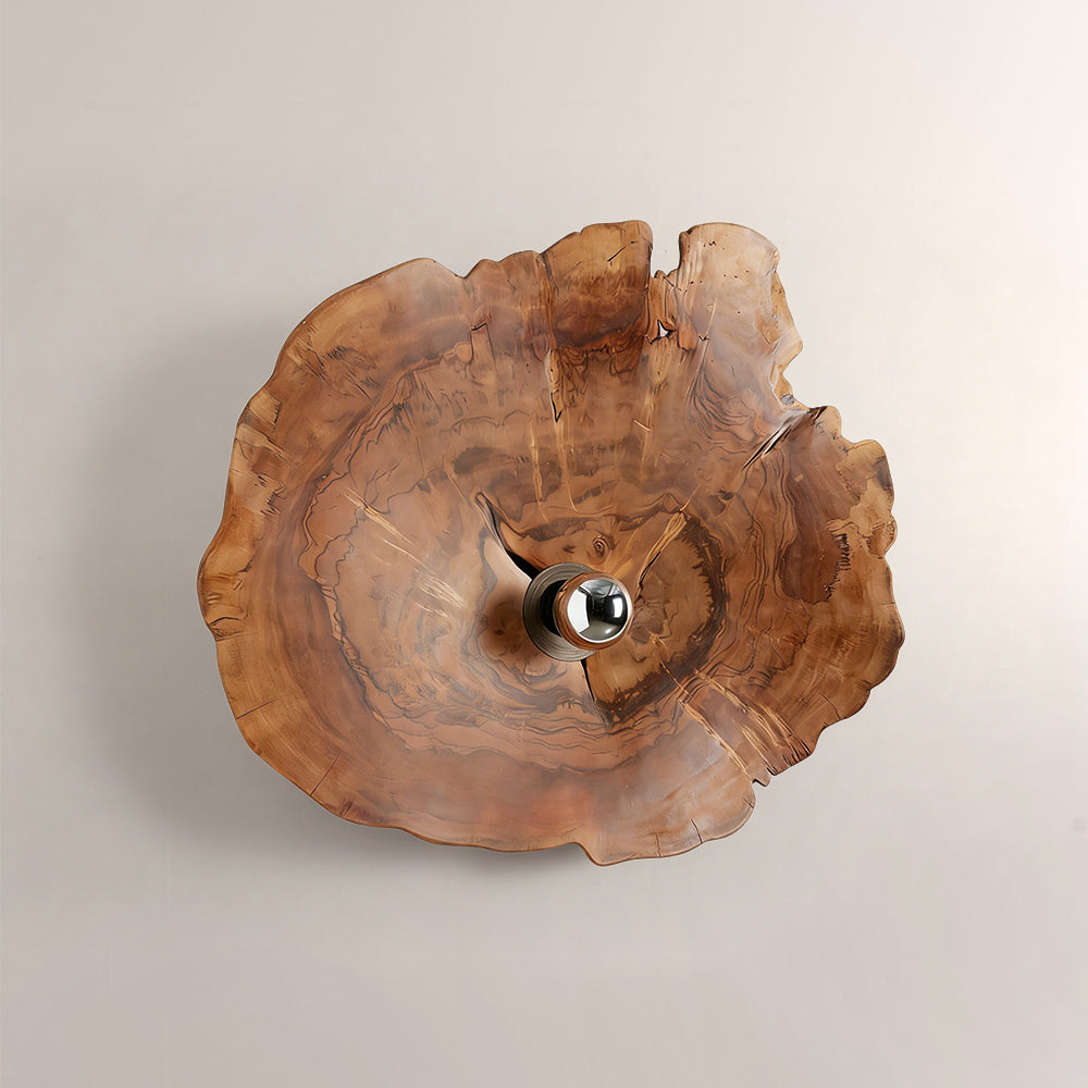 Arris Live-Edge Wood Wall Sconce