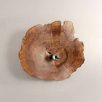 Arris Live-Edge Wood Wall Sconce