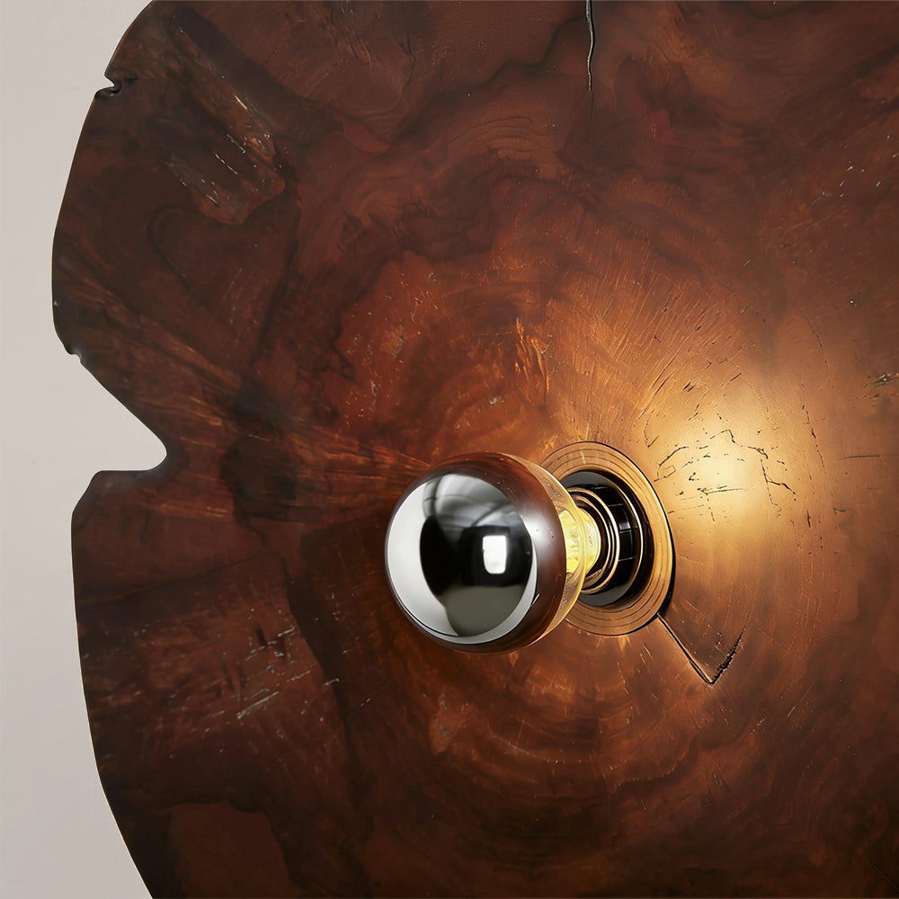 Arris Live-Edge Wood Wall Sconce