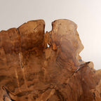 Arris Live-Edge Wood Wall Sconce