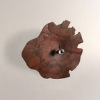Arris Live-Edge Wood Wall Sconce