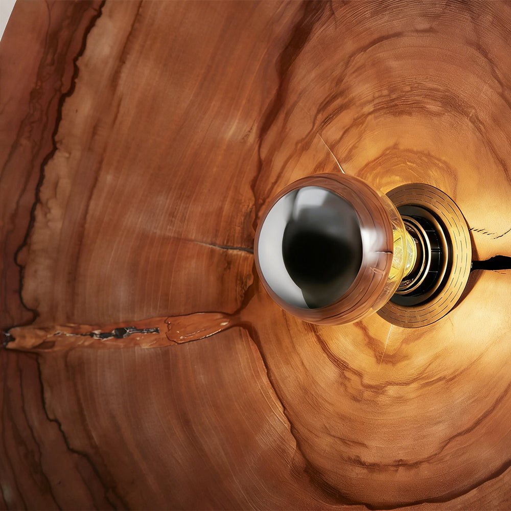 Arris Live-Edge Wood Wall Sconce