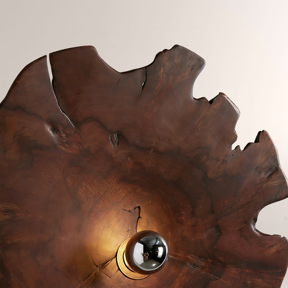 Arris Live-Edge Wood Wall Sconce