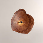 Arris Live-Edge Wood Wall Sconce