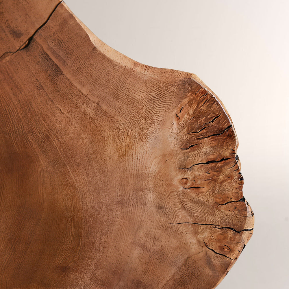 Arris Live-Edge Wood Wall Sconce