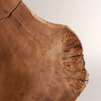 Arris Live-Edge Wood Wall Sconce