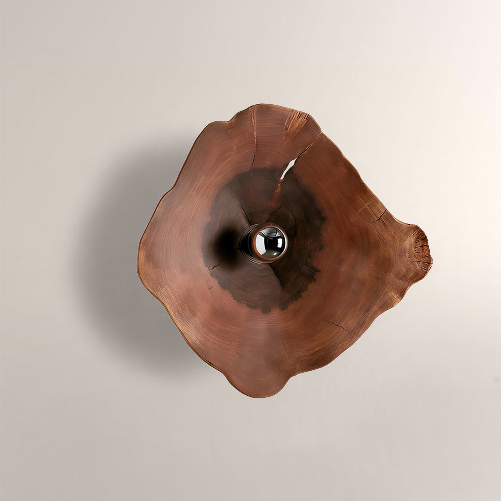Arris Live-Edge Wood Wall Sconce