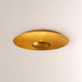 Inspired Cosmic Flushmount