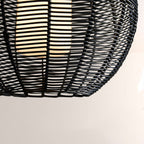Crhan Globe Outdoor Pendant