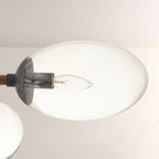 Frances Glass Chandelier