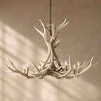 Natural Antler Chandelier 60"