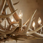 Natural Antler Chandelier 60"