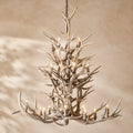 Natural Antler Chandelier 66"