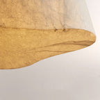 Oinda Outdoor Pendant