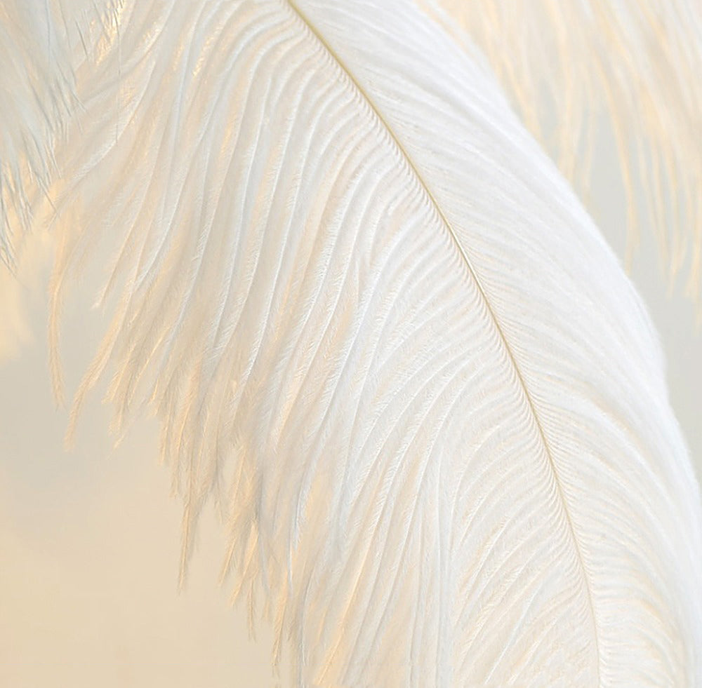 Elva Nordic Ostrich Feather Floor Lamp Brass Lighting - Yami Lightings